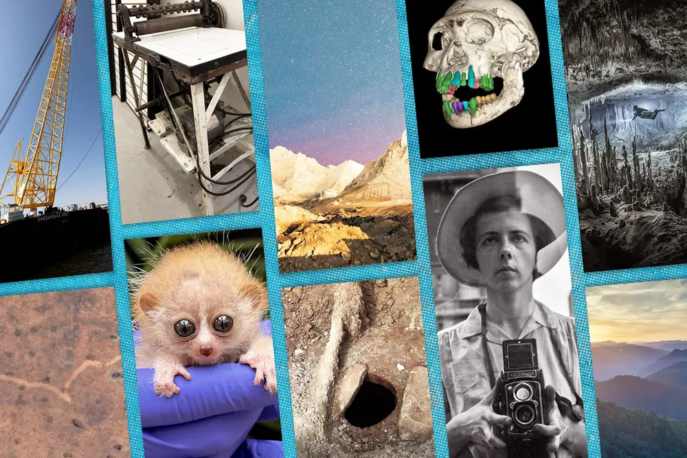 Top ten stories of 2024 illustration