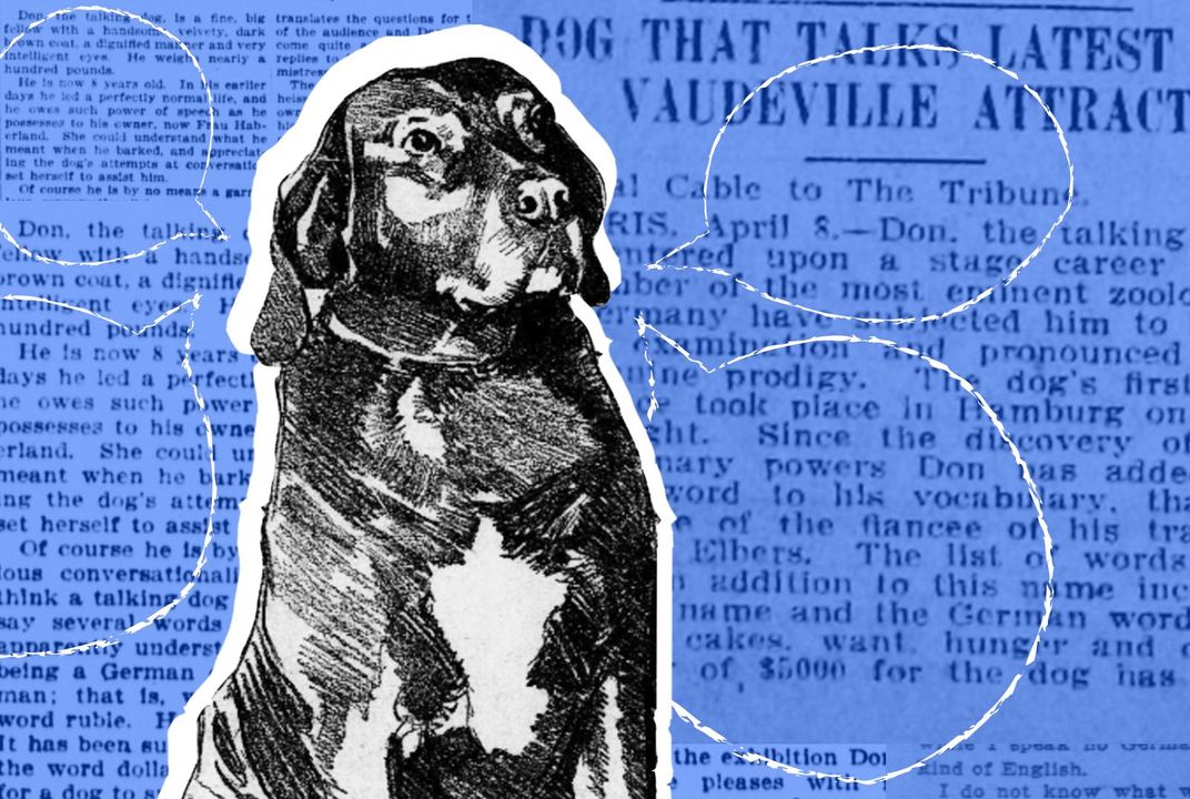 When Don the Talking Dog Took the Nation by Storm | History| Smithsonian  Magazine