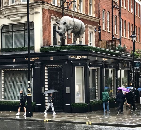 Londoners oblivious to the hovering rhino thumbnail