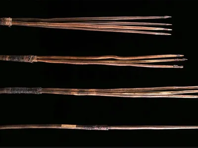 Three spears have returned to southeastern Australia for the first time and are being displayed at the University of Sydney&rsquo;s Chau Chak Wing Museum.