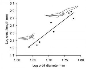 20110520083229Pteranodon-graph-300x240.jpg