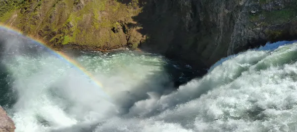 A rainbow over Yellowstone's Upper Falls thumbnail