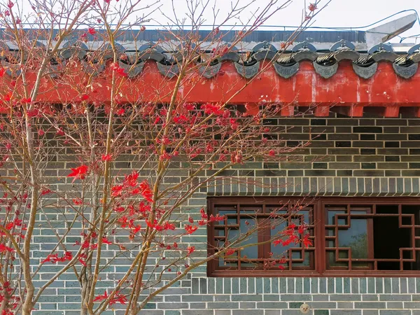 Chinese aesthetic: rustling maple leaves, red walls and green tiles thumbnail
