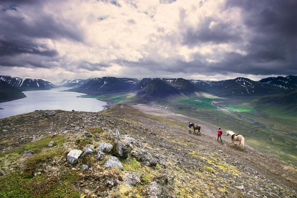 horseback riders incredible vista iceland