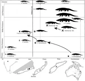 20110520102255komodo-evolution-520-300x284.jpg