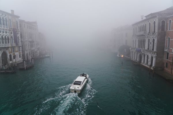 Foggy Morning in Venice thumbnail