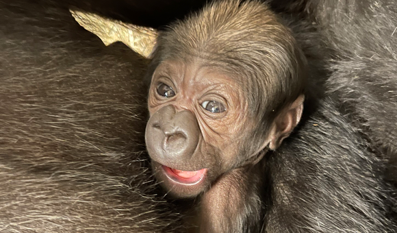 baby-closeup.png