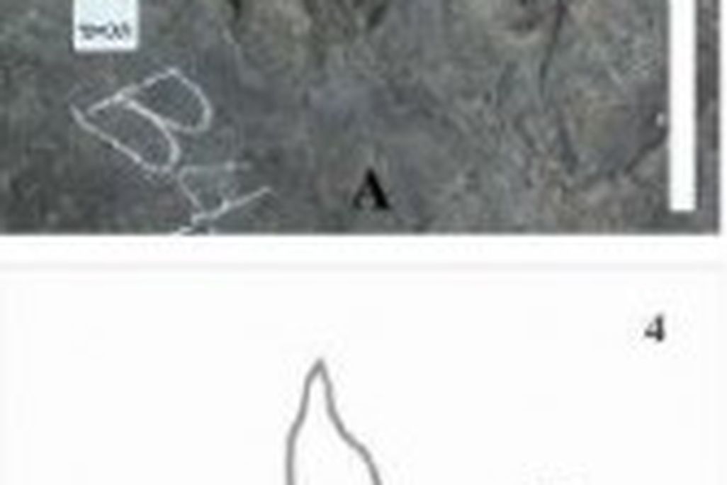 20110520083230south-korea-dinosaur-track-167x300.jpg
