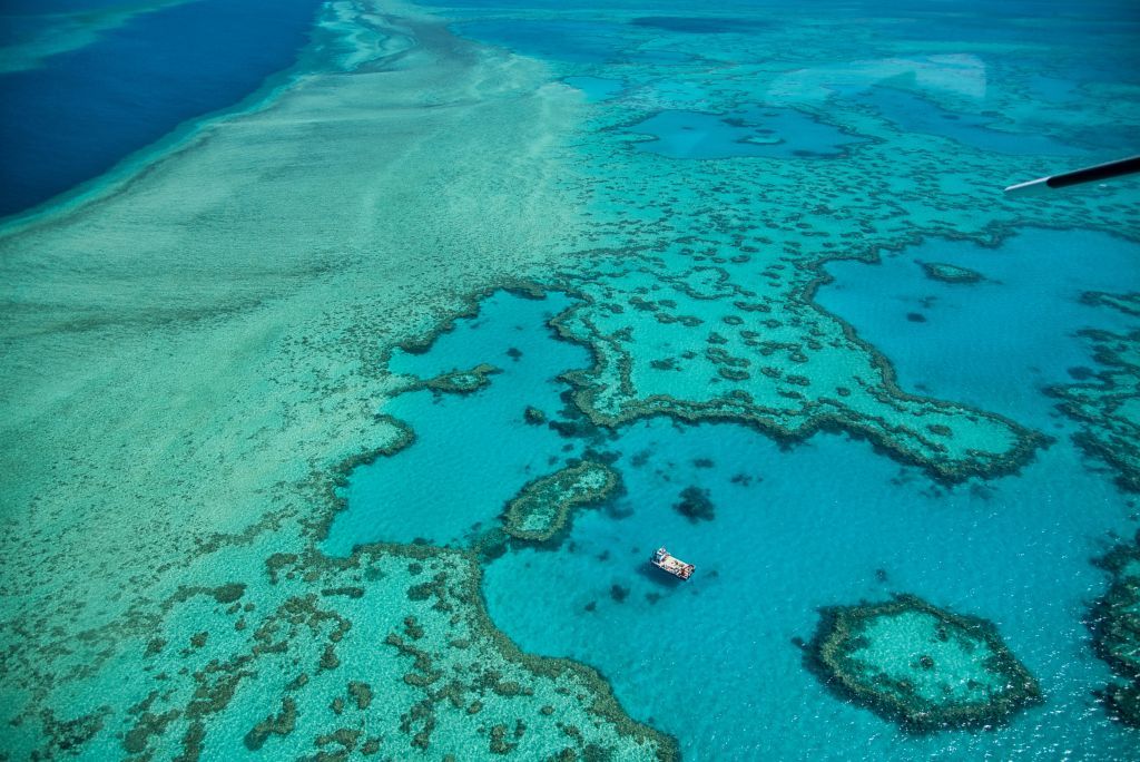 Natural Great Barrier Reef in Queensland