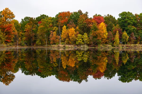 Morning Reflections thumbnail