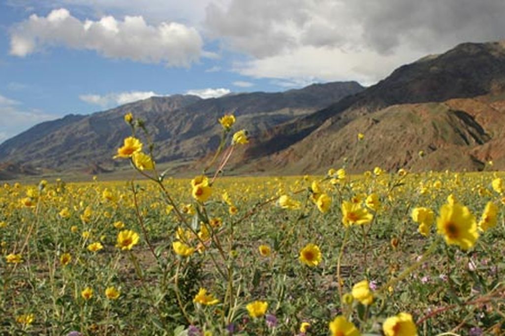 Death Valley, CA