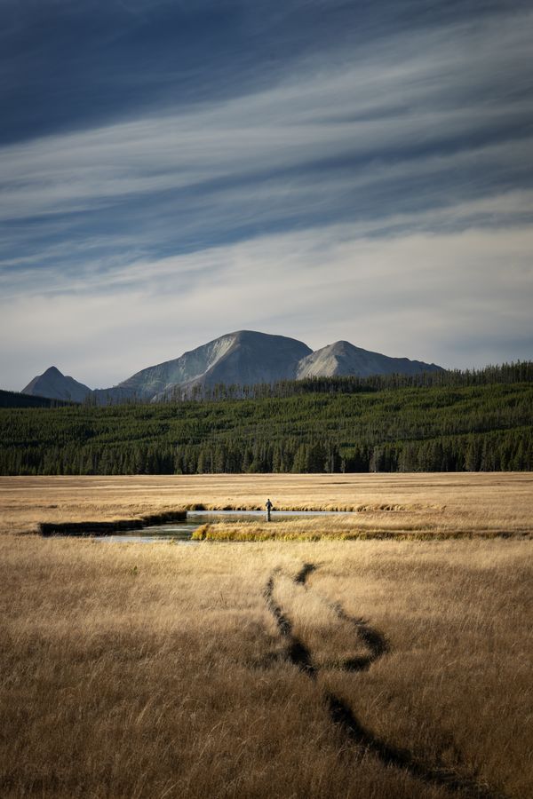A lone fisherman in the middle of vast Yellowstone landscape thumbnail