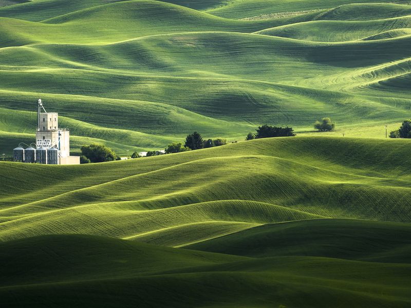 The Rolling Fields of Palouse Smithsonian Photo Contest Smithsonian