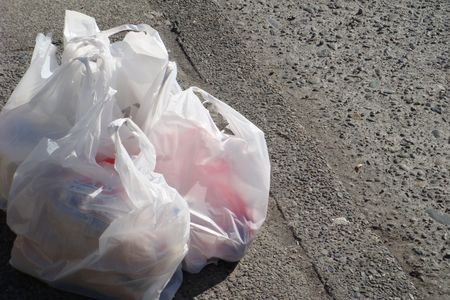 New York is the second state to pass a ban on single use plastic bags. California was the first.