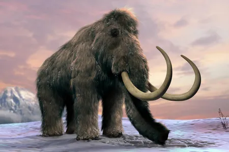 Wooly mammoths would have been challenging but desirable prey for early humans.
