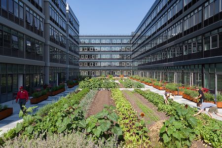 Empress Green is a 4,500-square foot urban farm located at Urby Staten Island, a 900-apartment complex in New York City.
