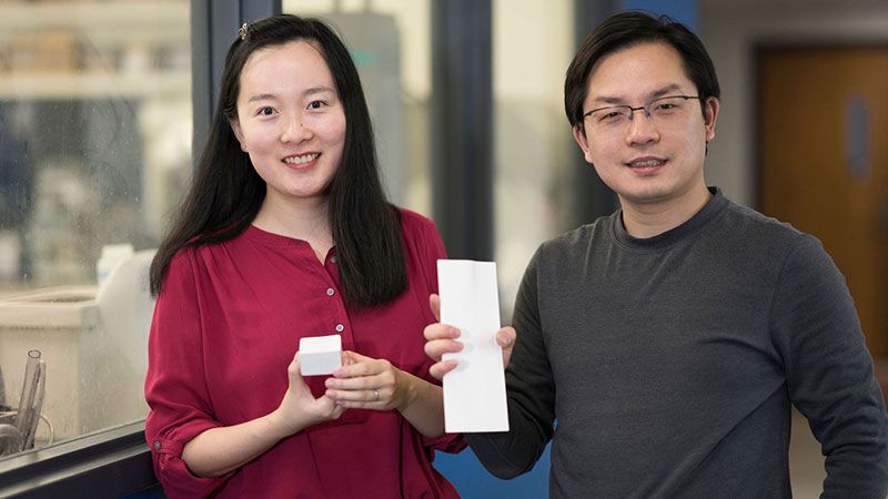 Could 'Nanowood' Replace Styrofoam?