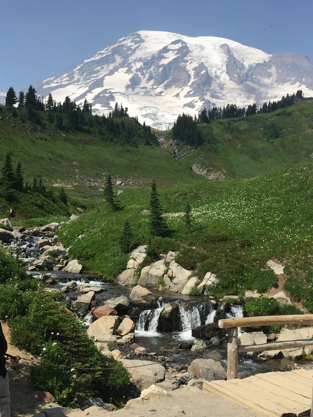 Clear Summer Day at Mt Rainier | Smithsonian Photo Contest ...