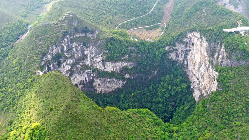 Untouched ancient forest discovered inside colossal sinkhole in China •
