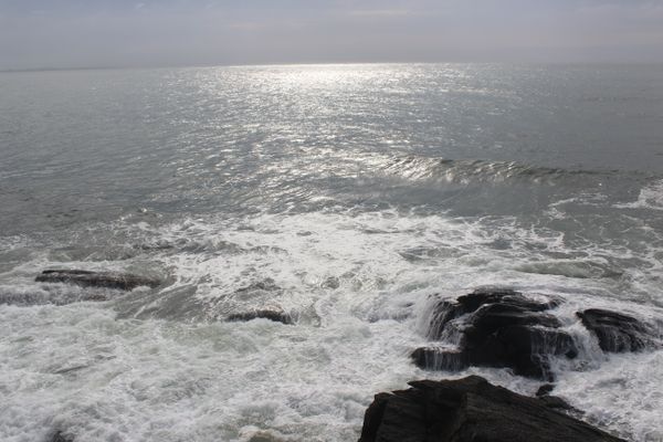 Looking down at the Rhode Island shoreline from The Cliff Walk, in Newport. thumbnail