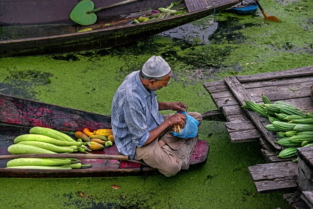 A vegetable seller himself is buying breads for his family, on the floating market of Dal Lake.