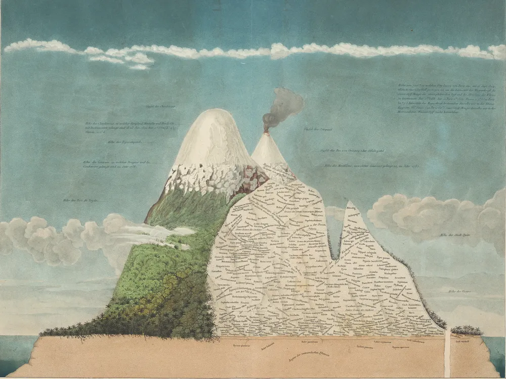 famous Chimborazo illustration cropped