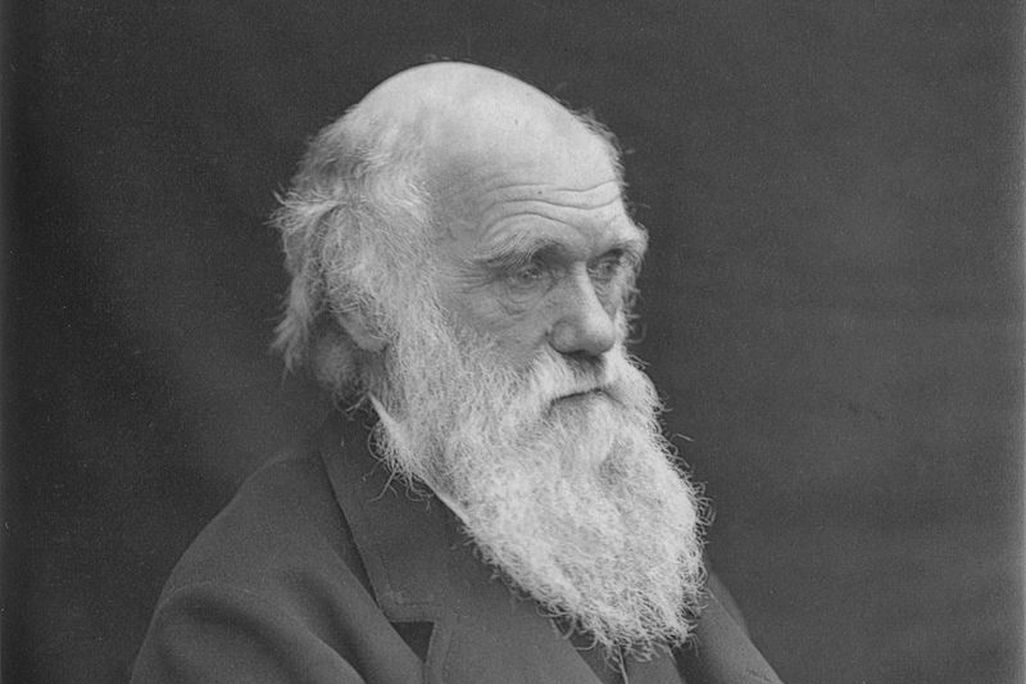 800px-1878_Darwin_photo_by_Leonard_from_Woodall_1884_-_cropped_grayed_partially_cleaned.jpg