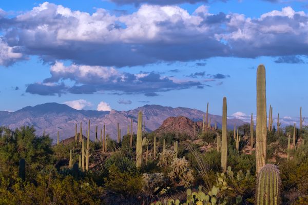 A scenic desert view thumbnail