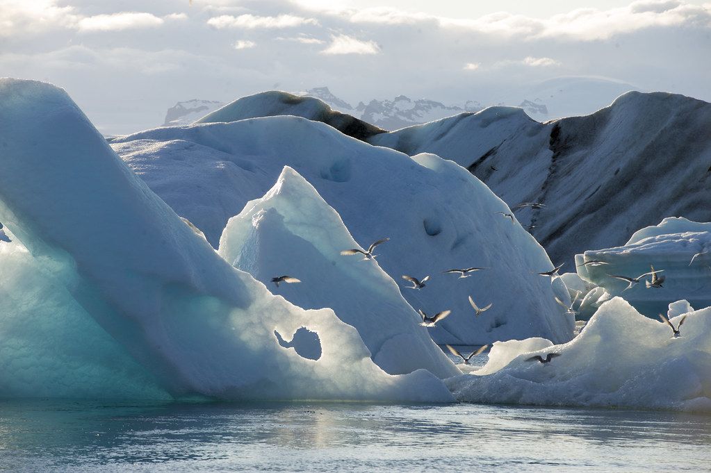 Jökulsárlón glacial lagoon