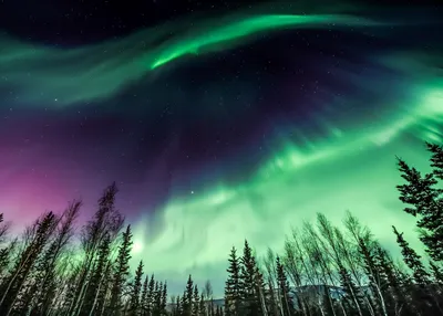 discover-alaska-fairbanks-northern-lights