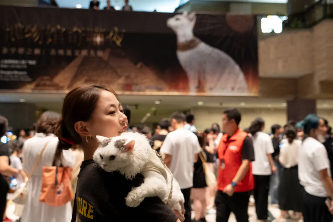 Woman holding a cat