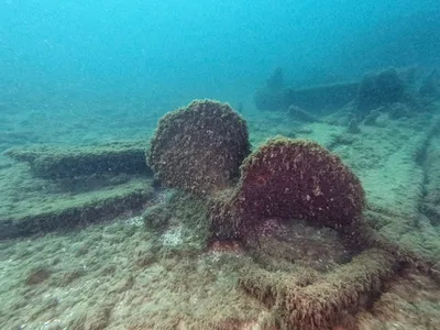 This Shipwreck's Location Was a Mystery for 129 Years. Then, Two Men Found It Just Minutes Into a Three-Day Search image