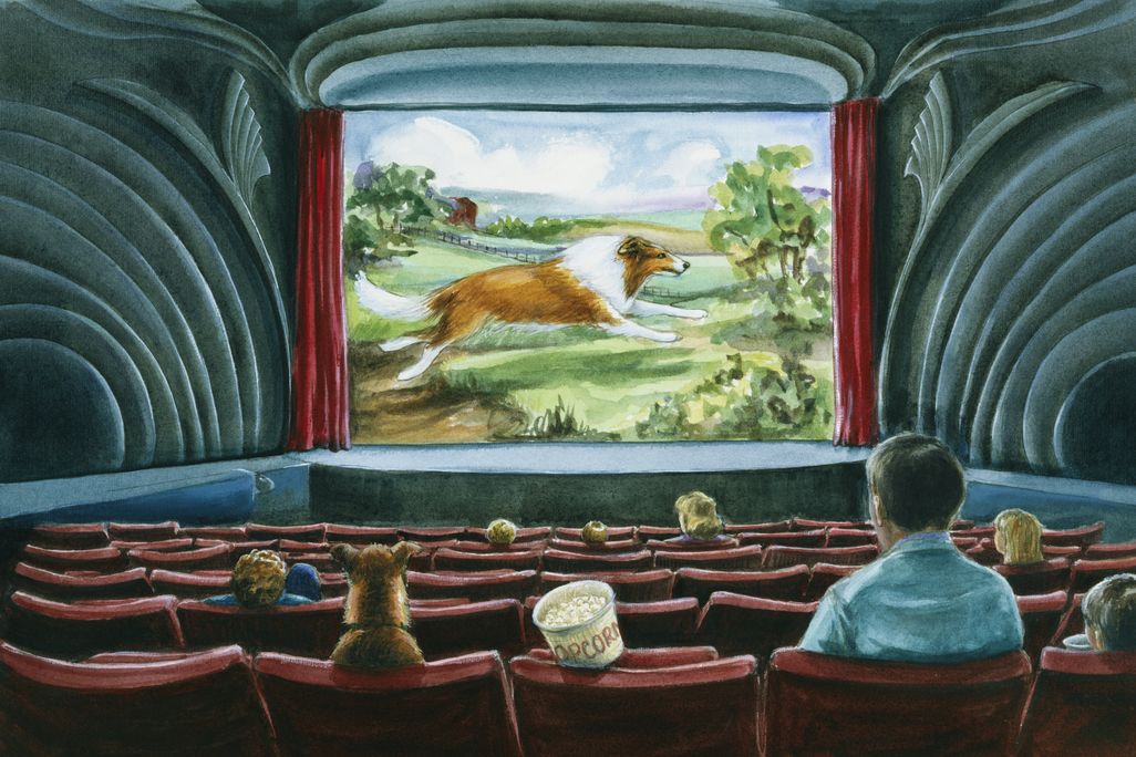 lassie