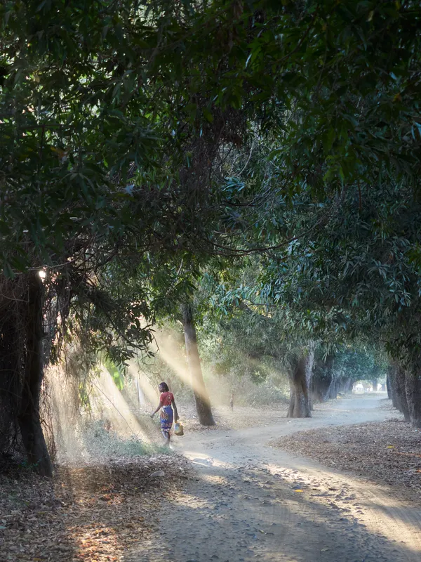 When the day begins thumbnail