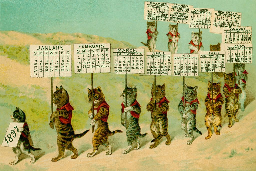 Cat Calendar