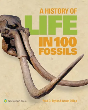 Preview thumbnail for A History of Life in 100 Fossils