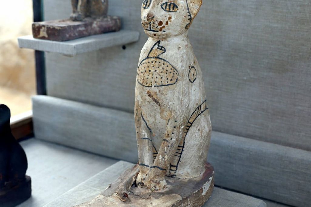 Cat Mummies
