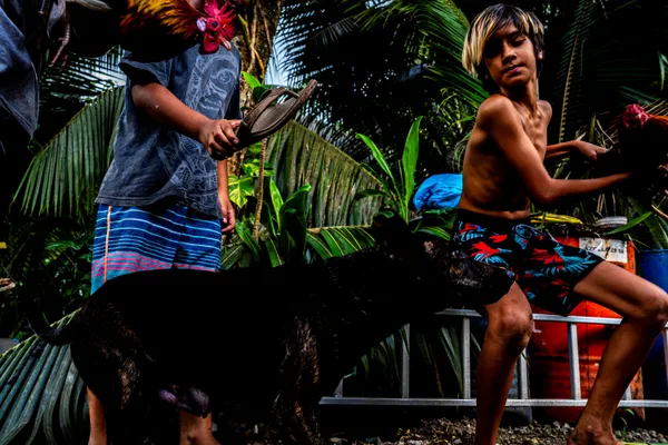 island of happiness thumbnail