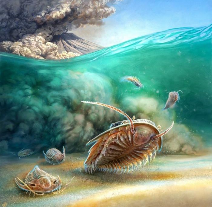 illustrated trilobites of two species swim as a cloud of volcanic ash approaches from a distant peak