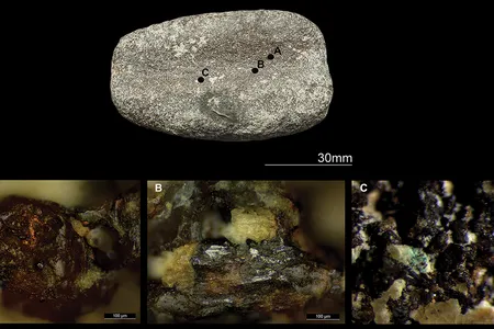 Microwear traces on a Bronze Age tool used for smoothing or polishing