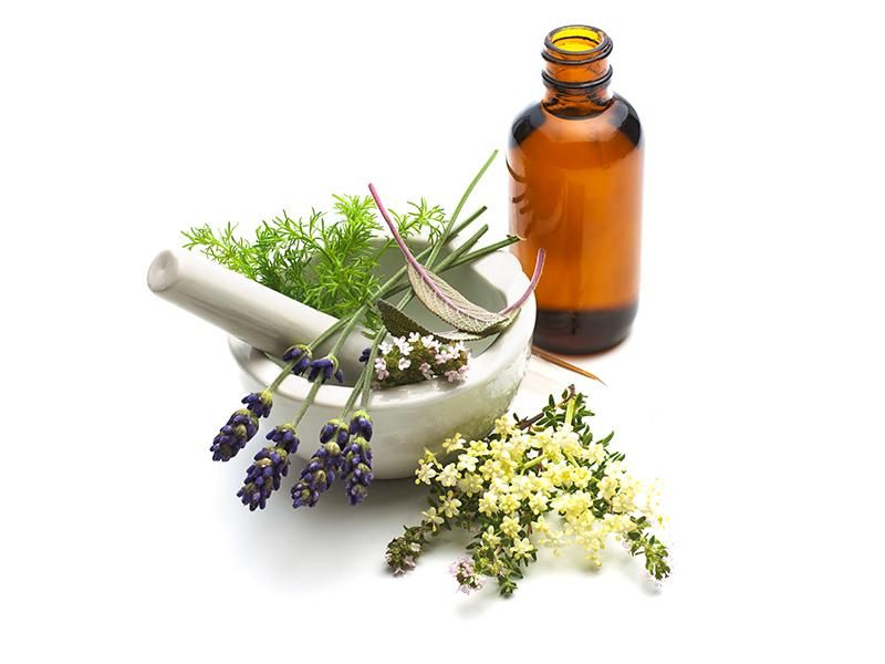 Part of Being a Domestic Goddess in 17th-Century Europe Was ...