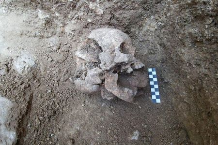 Previous excavations at the site have revealed raven talons, toad bones and even bronze cauldrons filled with the remains of ritually sacrificed puppies