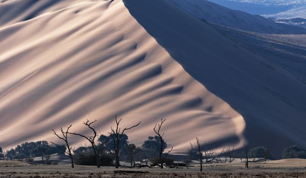 Sand Dune Near Sossusvlei, Namibia thumbnail