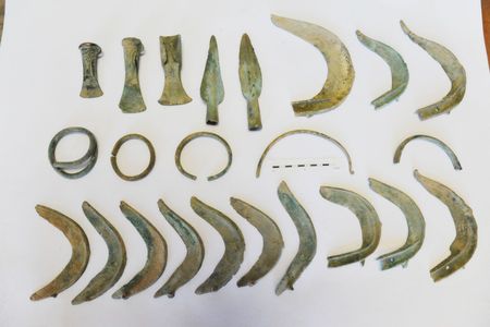 Monty, the dog that found the Bronze Age relics, unearthed 13 sickles, two spear points, three axes and several bracelets.