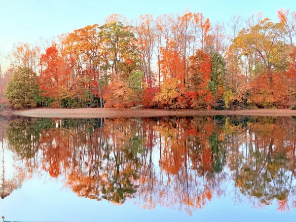 Fall Reflection thumbnail