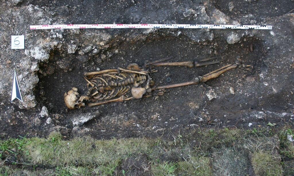 skeleton.jpg