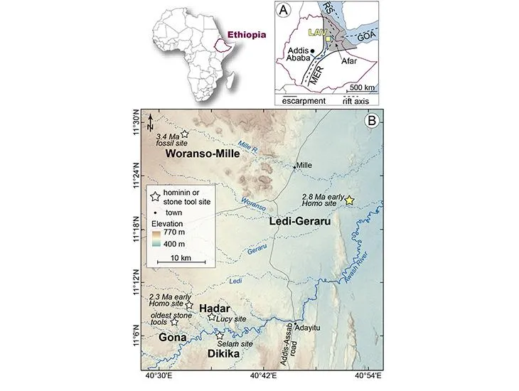 homo habilis map