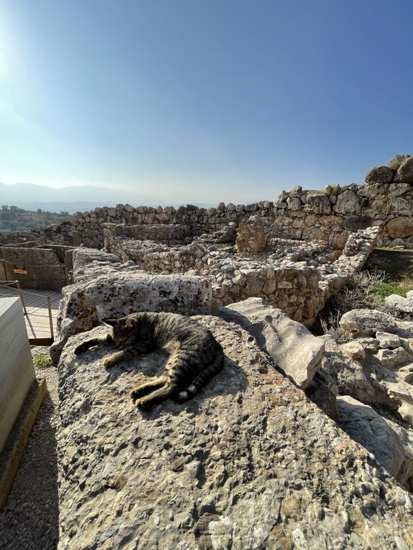 Acropolis at Mycenae thumbnail