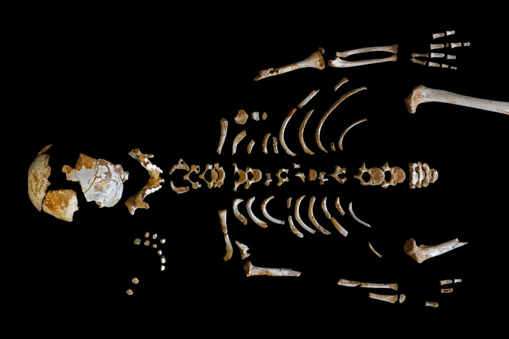 Neanderthal1.jpg