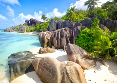 madagascar-and-the-seychelles-natural-treasures-of-the-indian-ocean